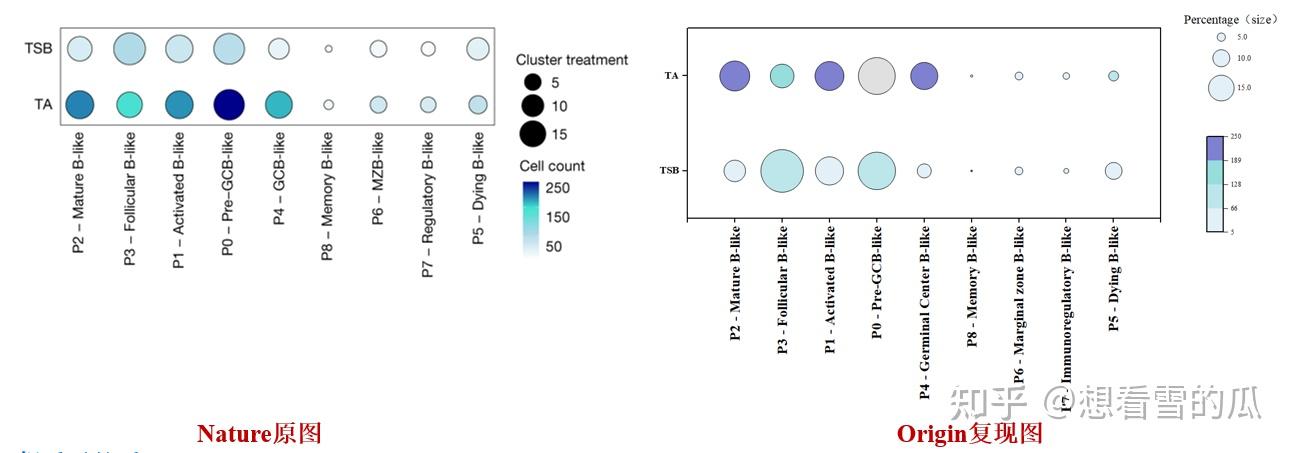 Origin绘制多变量气泡图（WB蛋白定量气泡图） - 知乎