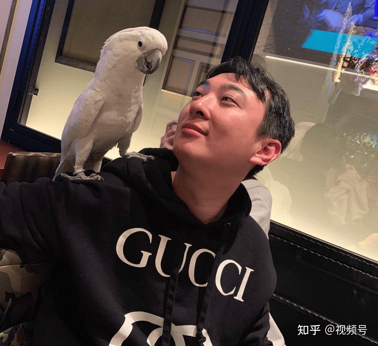 黄一鸣吐槽王思聪引热议,未婚生女背后目的不单纯? - 知乎