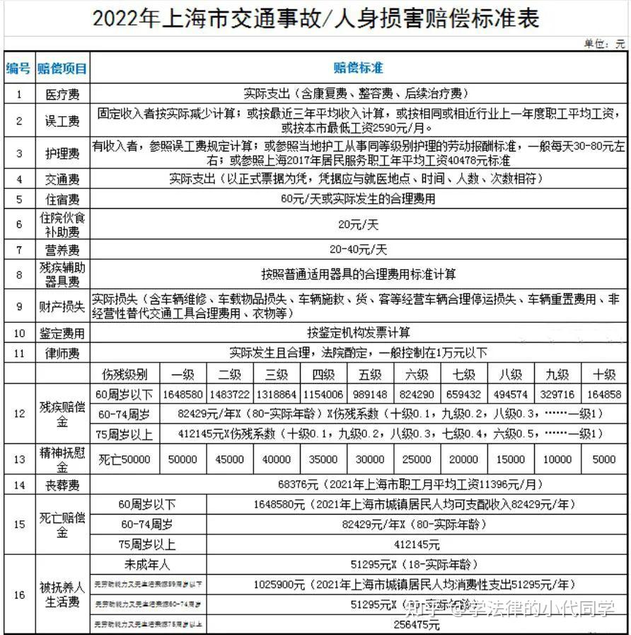 人身损害赔偿法：为事故受害者争取公平和适当的赔偿 (人身损害赔偿司法解释)