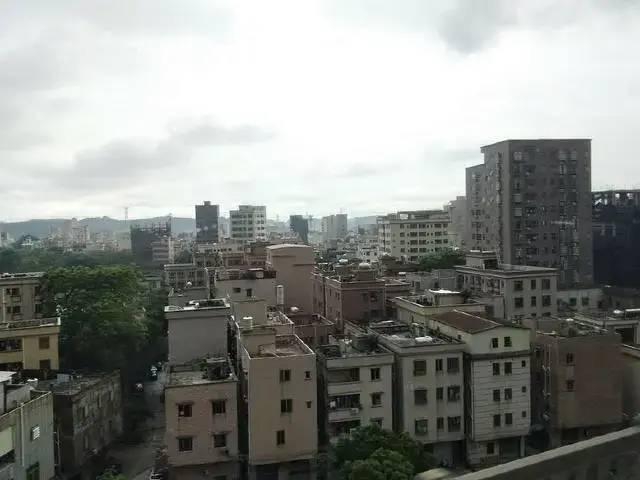 深圳坂田光雅园城中村旧改项目绿城开发商意向征集进行时