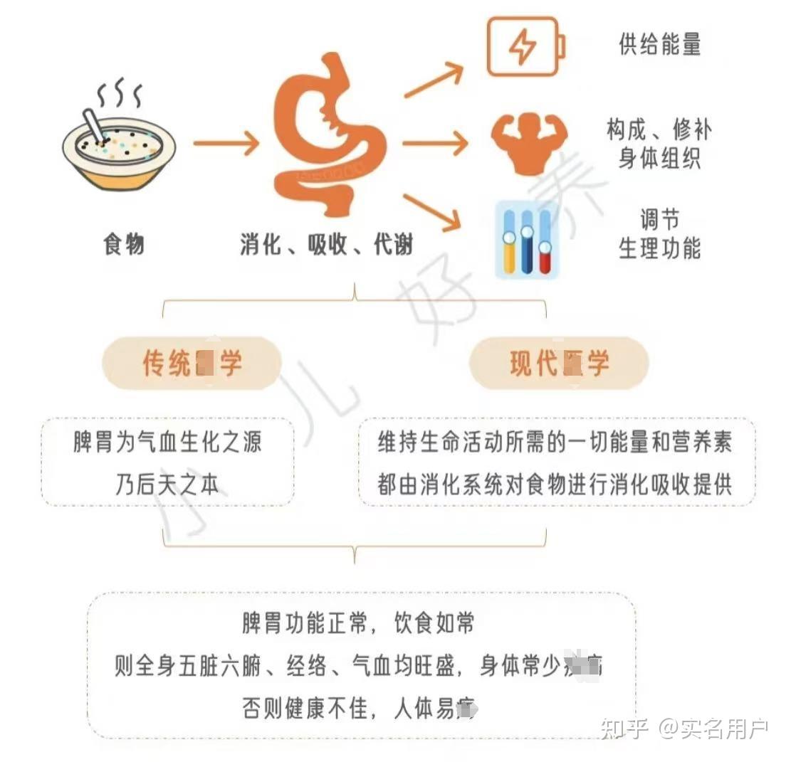 脾胃虚弱最简单的调养方式是什么? - 知乎