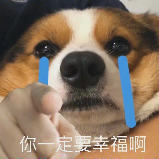 表情包|上号 - 知乎