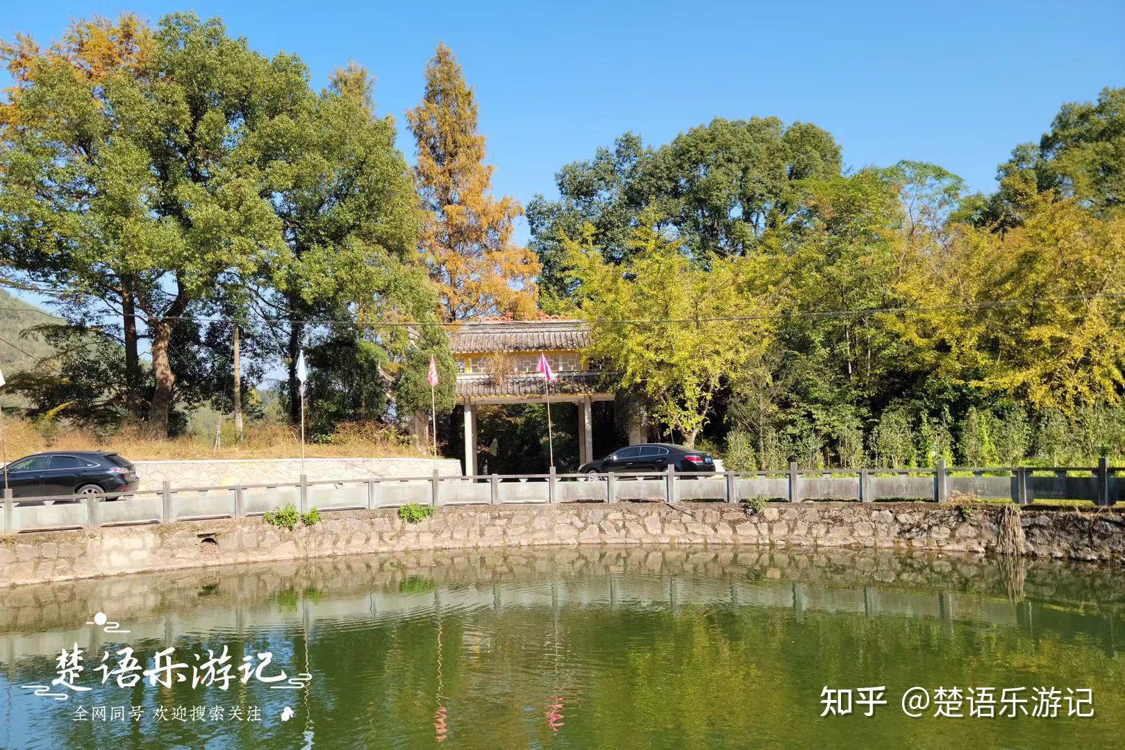 浙江宁波这个古村又到最美时清溪秋色美如画银杏谷成网红景点