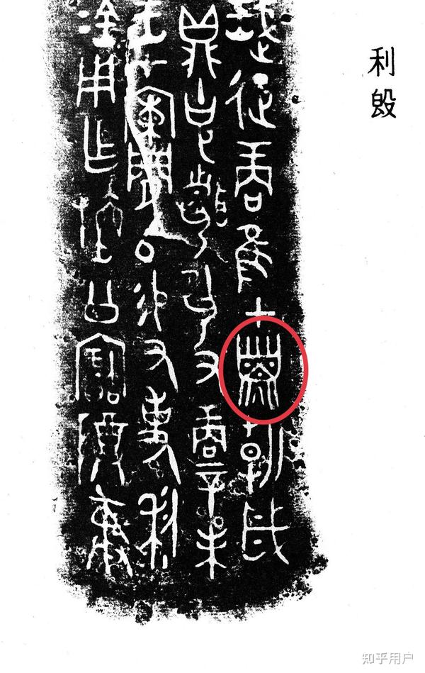 「子」字的甲骨文字形是什么?能详细说一下「子」字的演变过程吗?