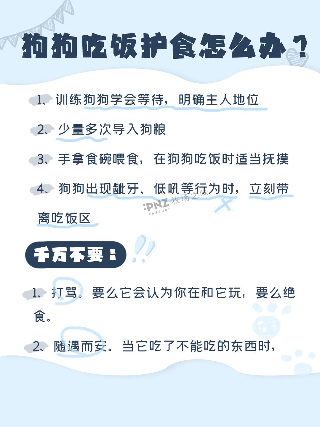 狗狗训练的正确姿势新手科学训狗必备