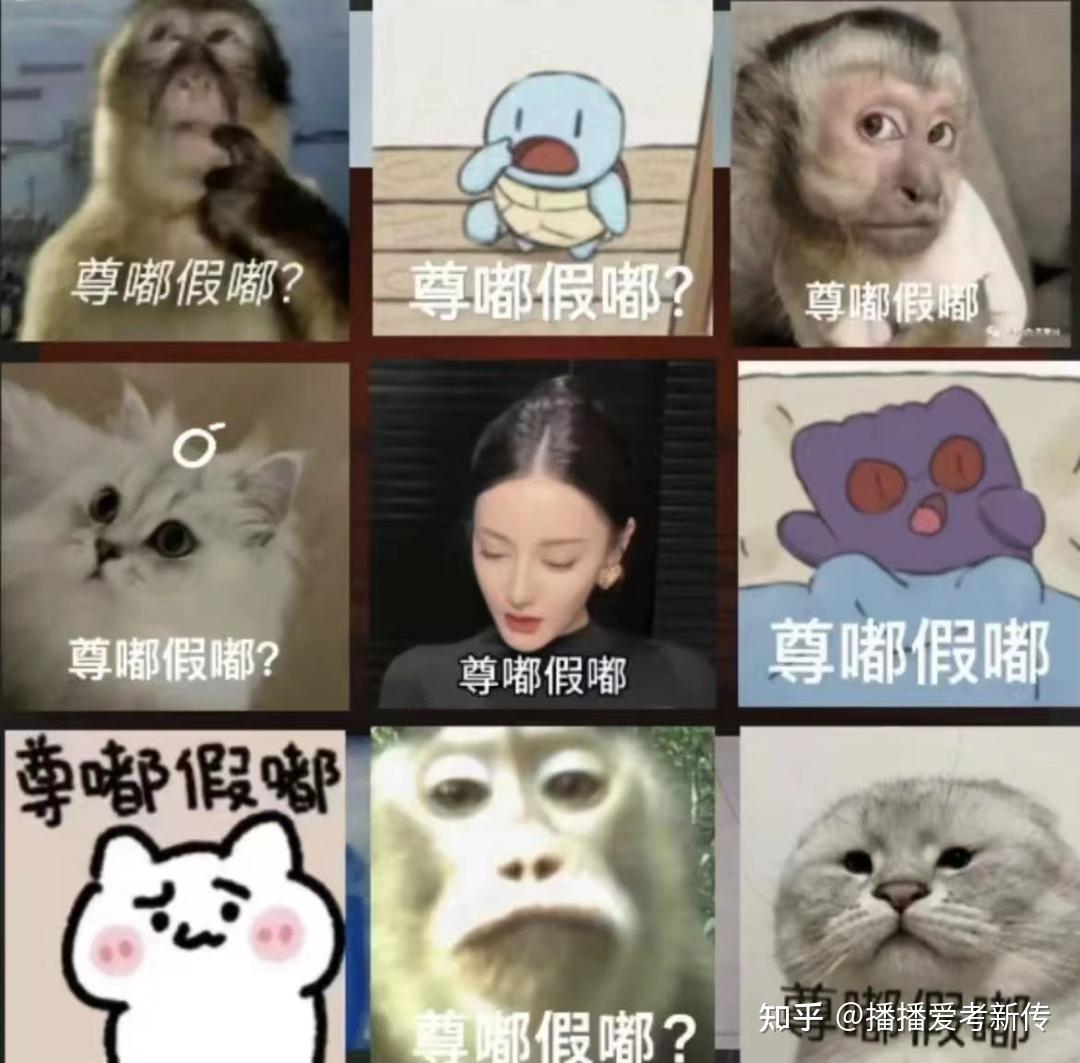 “我真的讨厌网络烂梗！” 尊嘟假嘟o.O？ - 知乎