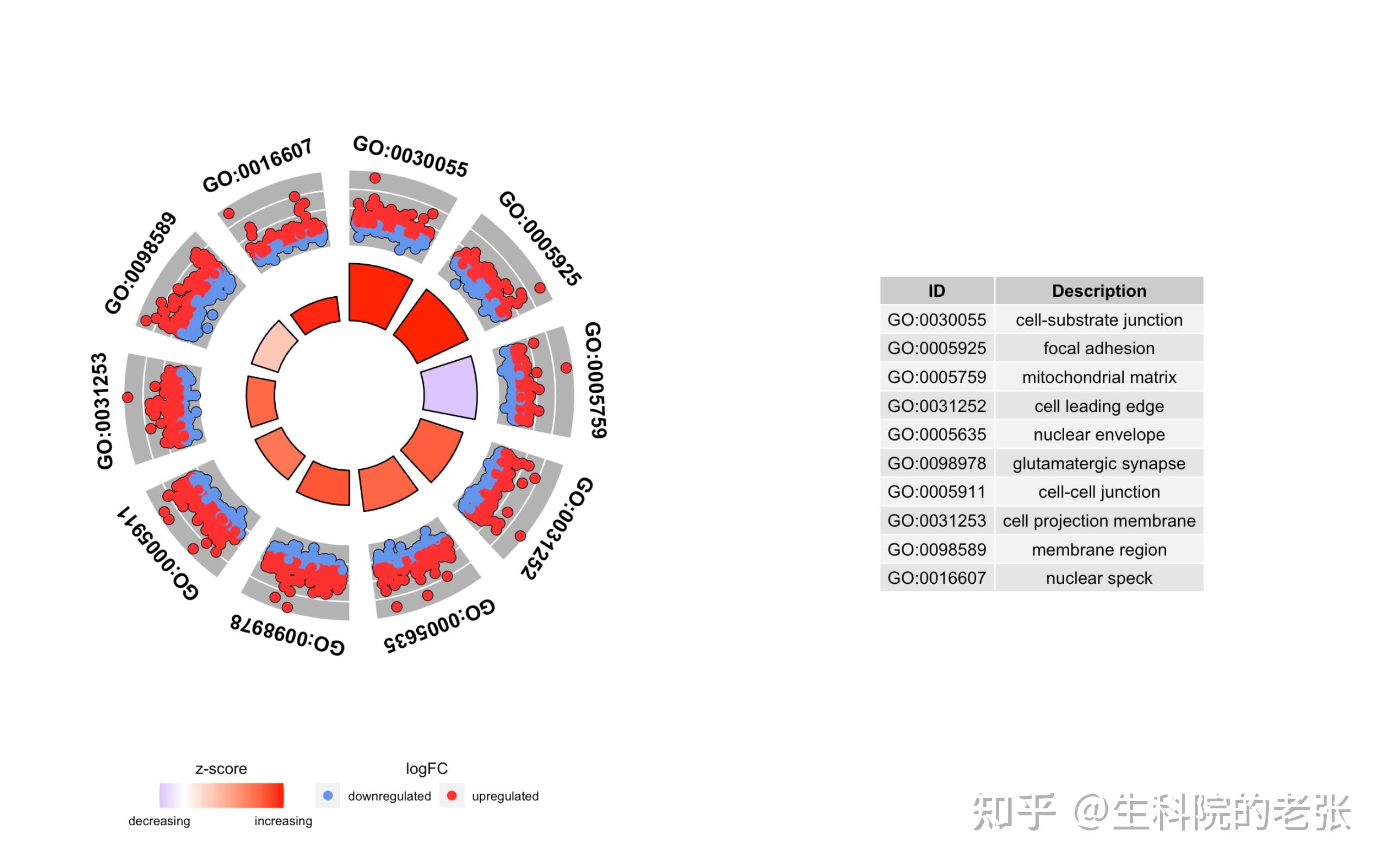 最全的gokegggsea分析教程r你要的高端可视化都在这啦包含富集圈图