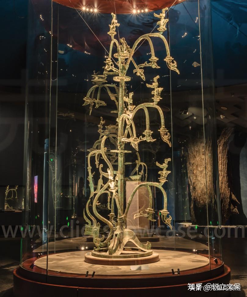 与克里克展柜一起去了解世界第九大奇迹三星堆神传中的通天神树