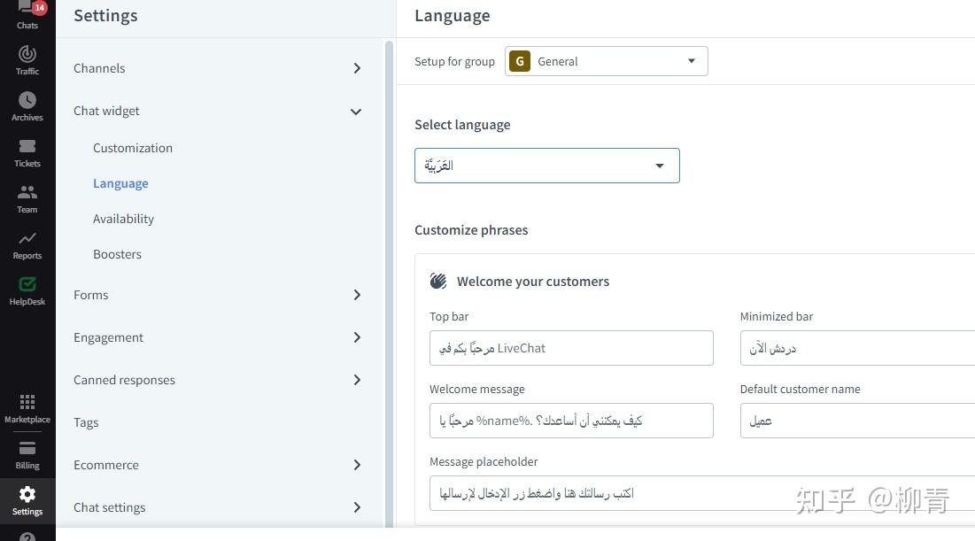 How does the website support multiple languages, conveythis multilingual plug-in trial notes, to achieve rapid traffic doubling