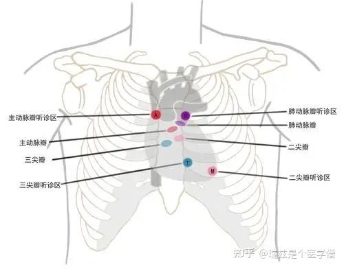 holter位置图片