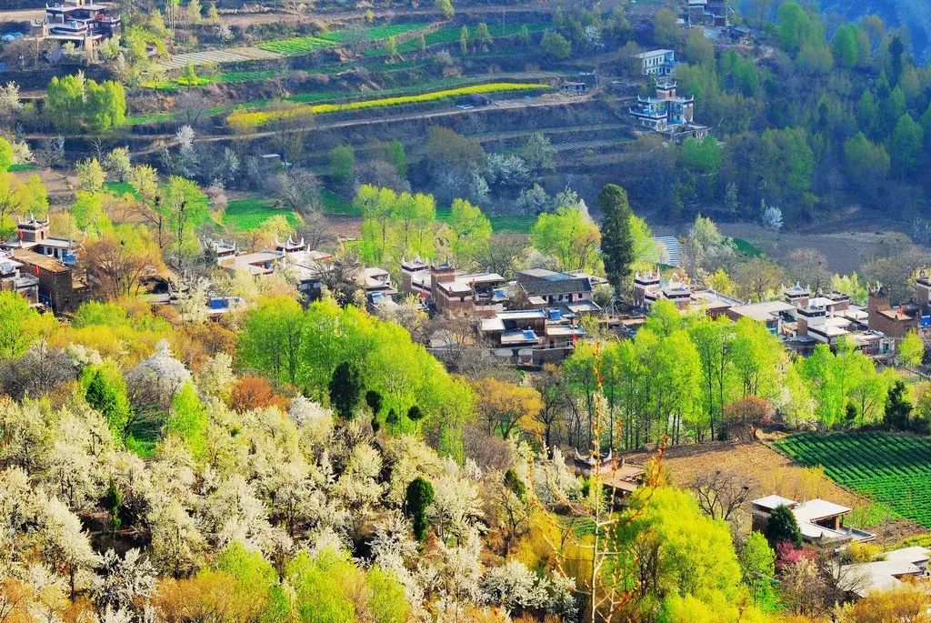 乡村渣滓能不能和其余农业废除物一同启动处置