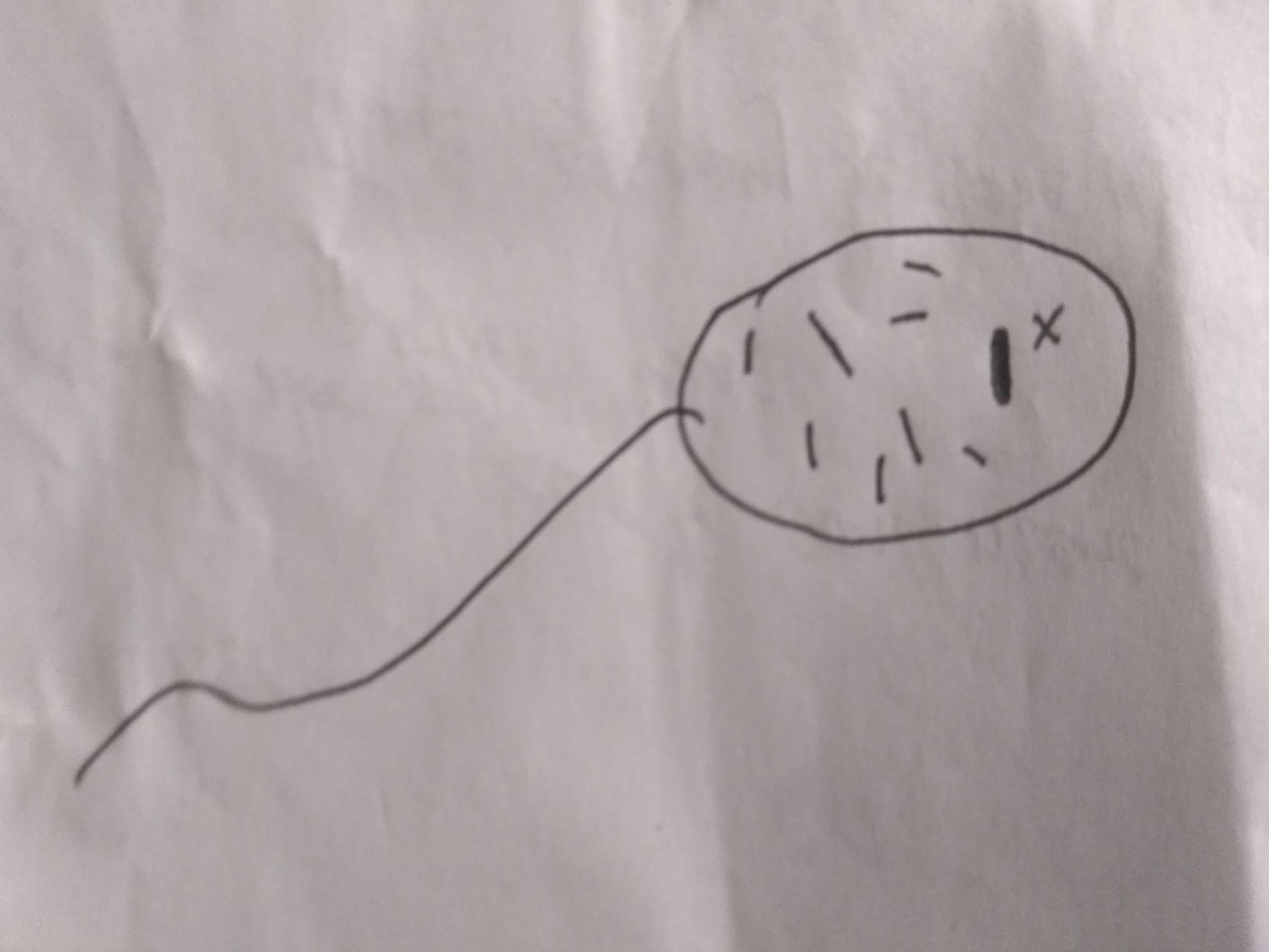 排除基因染色体的影响,家族男性都生儿子是否