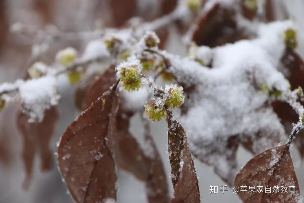 雪球感想爬山給我帶來了什麼