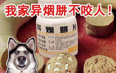 如何看待异烟肼毒狗的行为?