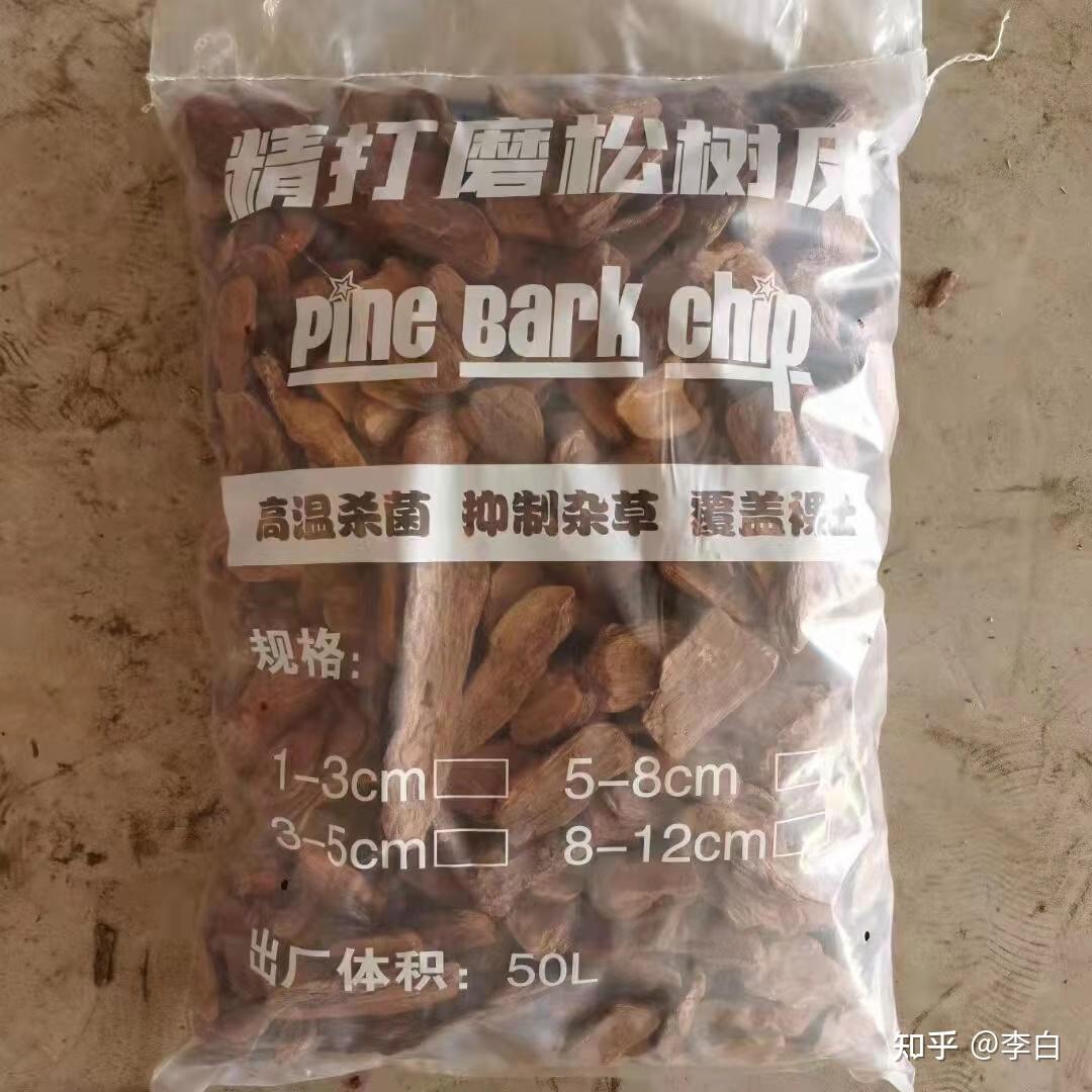 日本清关案例分享之松树树皮注意事项- 知乎