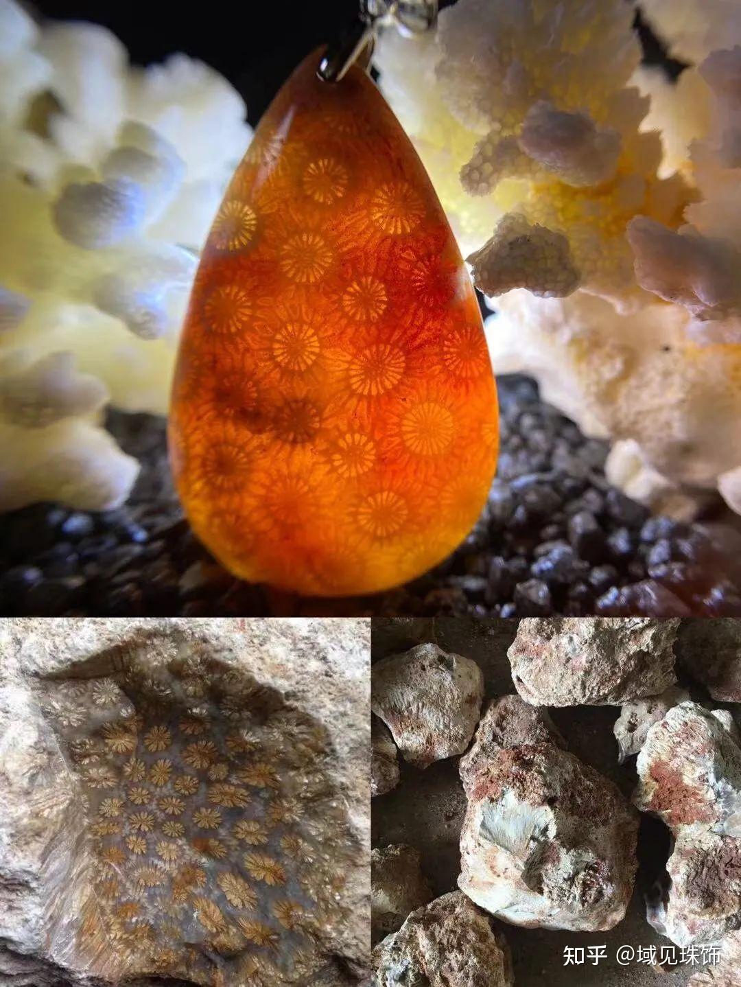 珊瑚玉化石的价值图片