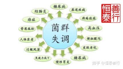 恒泰善行生物百科肠道菌群失调怎么办