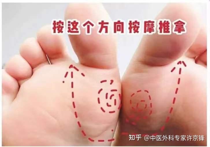 甲状腺对应的反射区图图片