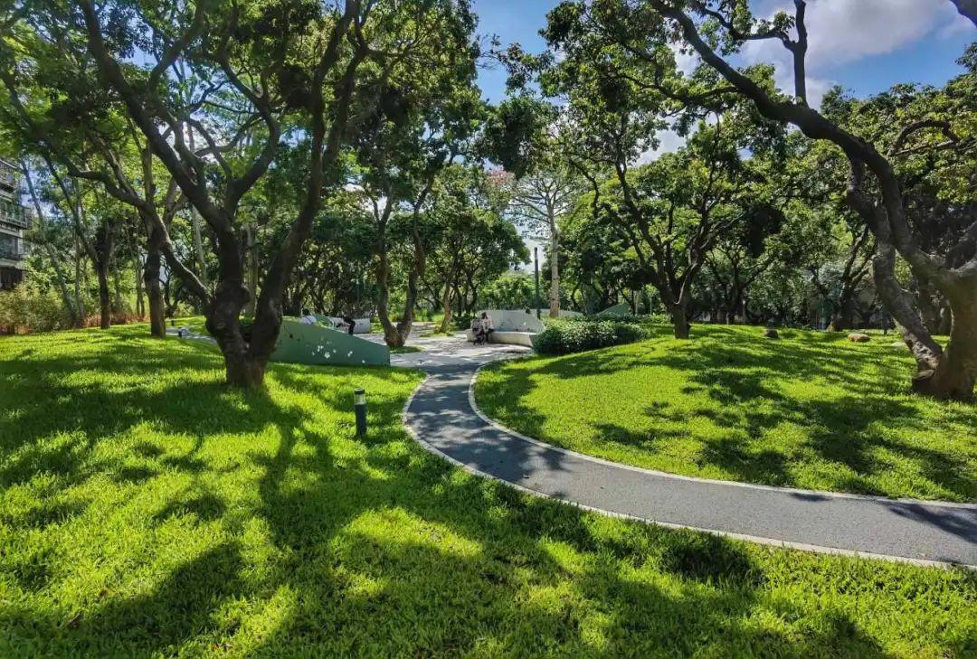 打卡即天堂day263月7日中康社区再生理想公园文末有范图