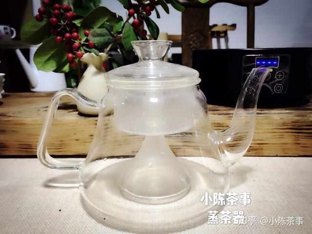 喝老白茶蒸茶比煮茶好因為蒸茶可以茶水分離那你本末倒置了