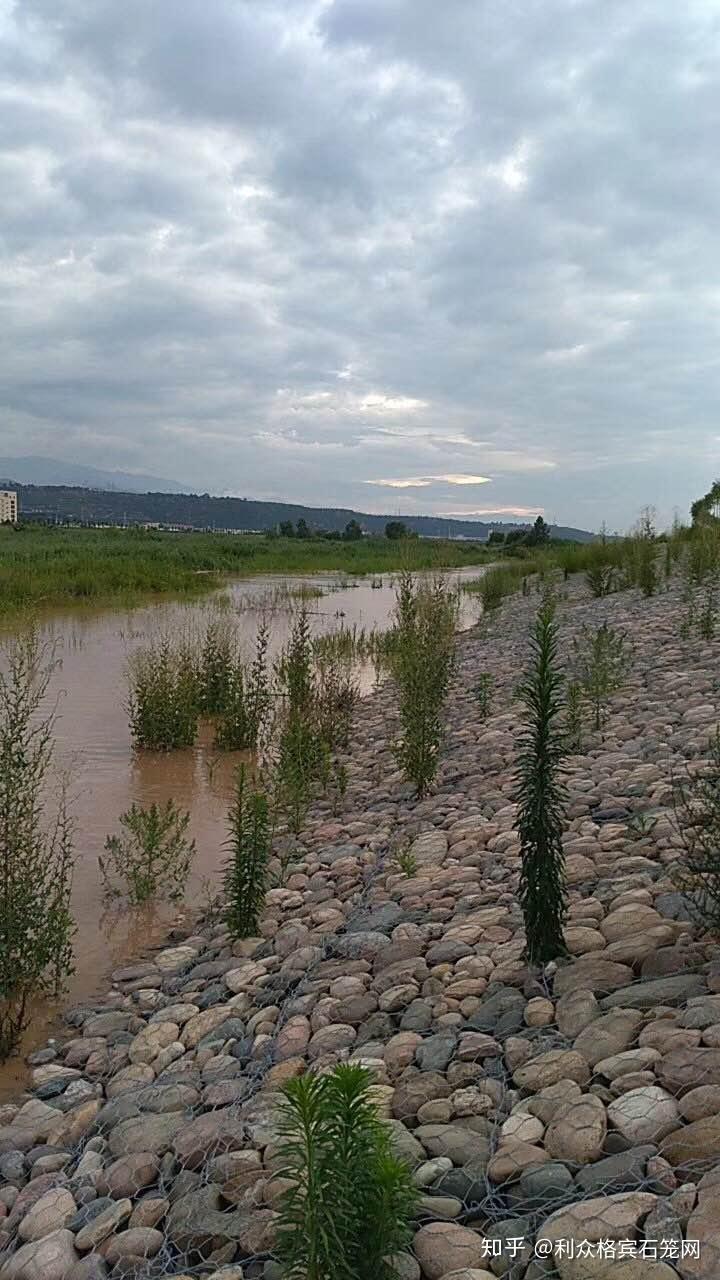 斜坡用网雷诺护垫起到固岸的作用
