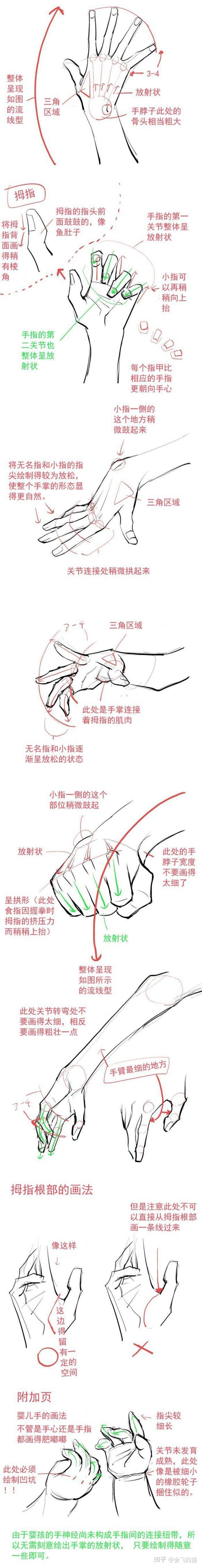 却是3等分从侧面来看从侧面来看比如老人,小孩,瘦子,胖子在画手的时