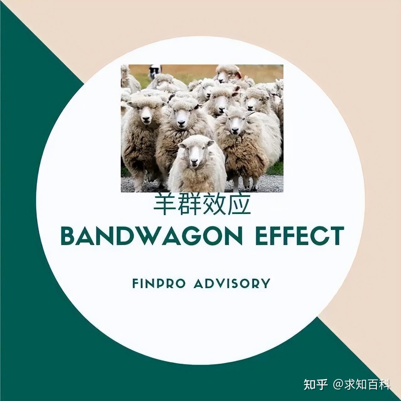 羊 群 效应 英文 (99) 사진