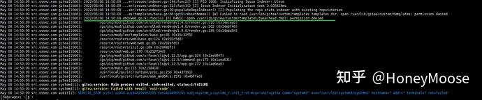 Gitea code exited Status 203 exec 