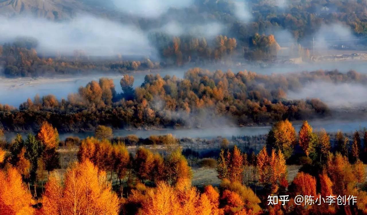 麦秀国家森林公园:青海三江源的绿色宝藏,私藏的绝美风光!