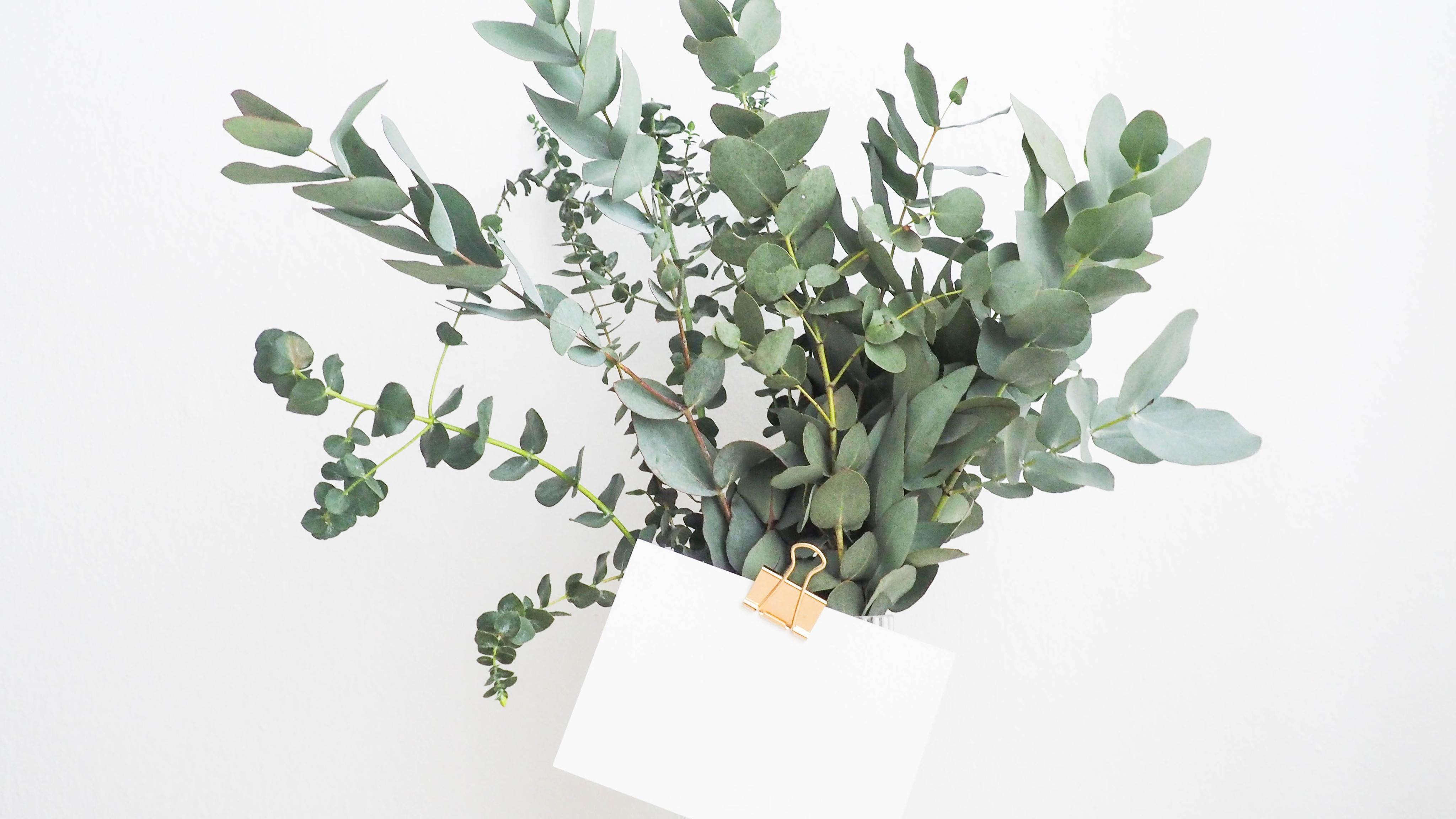 简约（电脑壁纸） - 知乎