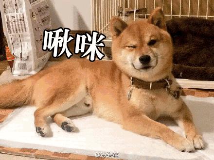 图标