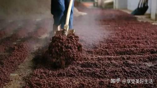 與茅臺酒廠一牆之隔共用同一個微生物菌群王立夫61匠王臺來頭不小