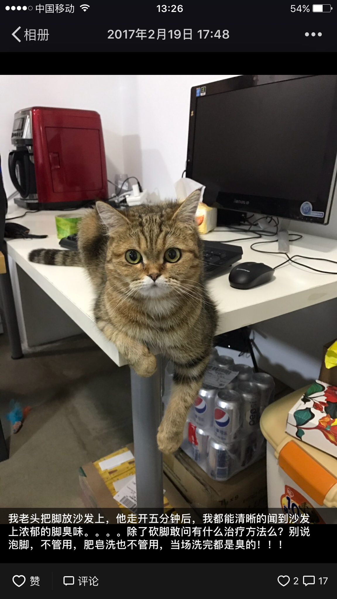 想开一家卖猫宠的店,卖各种品种的猫咪。不知