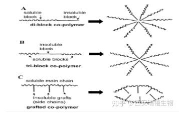 聚合物胶束在生物试剂药物载体的应用 - 知乎