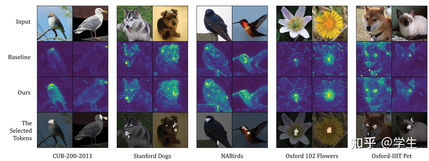 文献阅读：Fine-Grained Visual Classification via Internal Ensemble Learning ...