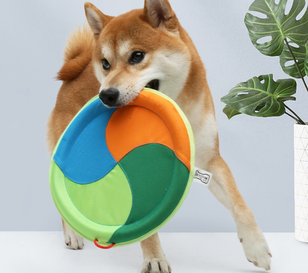 狗狗飞盘哪个牌子好?