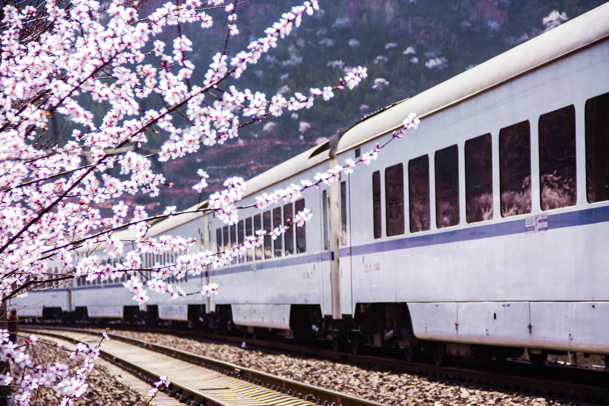 日本北海道铁轨道路高清图片下载-正版图片500586066-摄图网