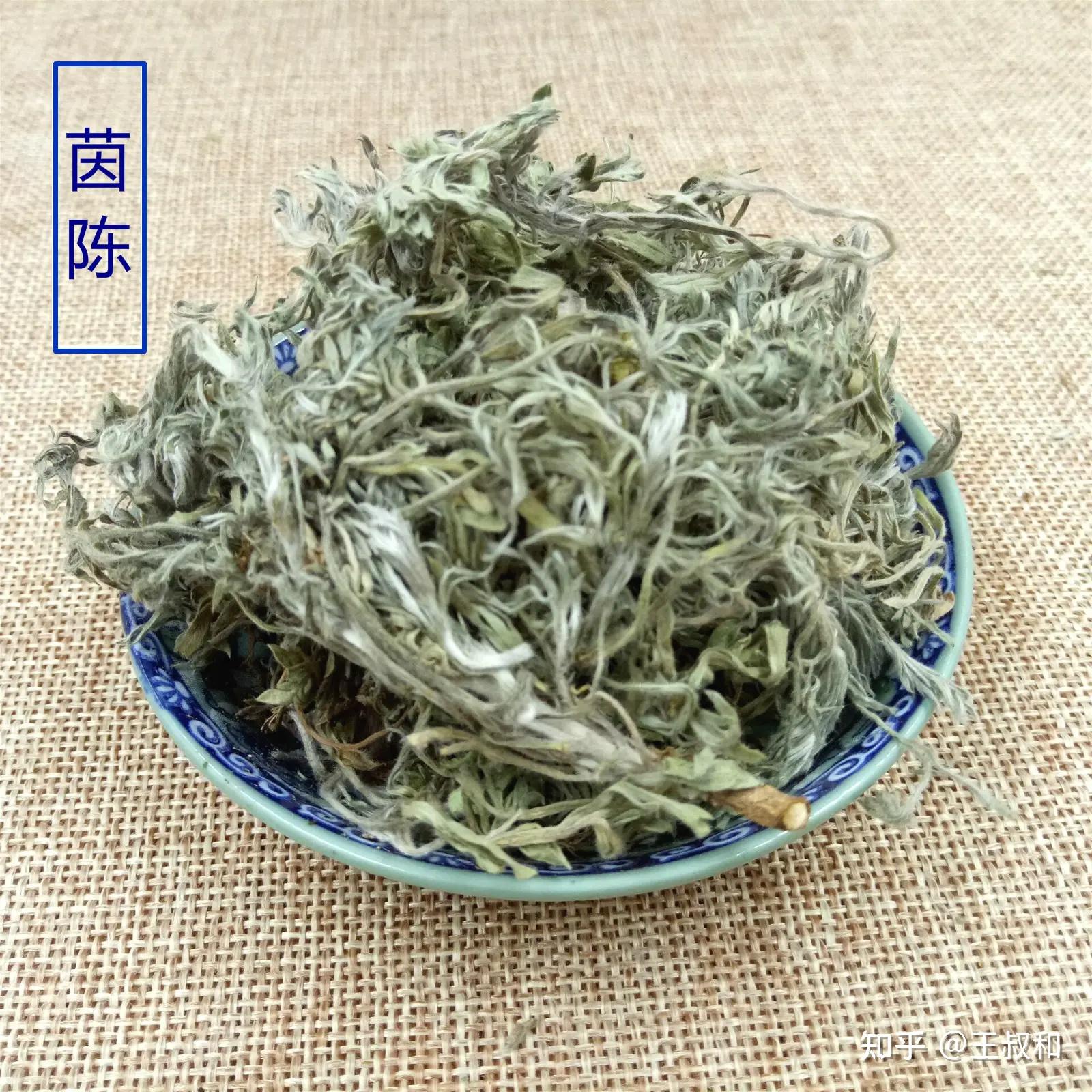 利水渗湿药