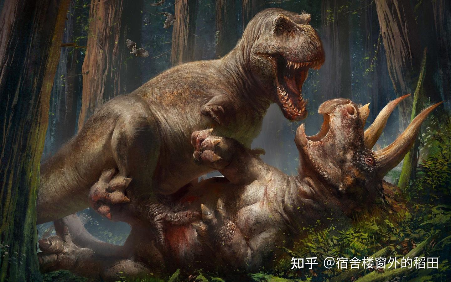 脊椎动物的演化史（2） - 知乎