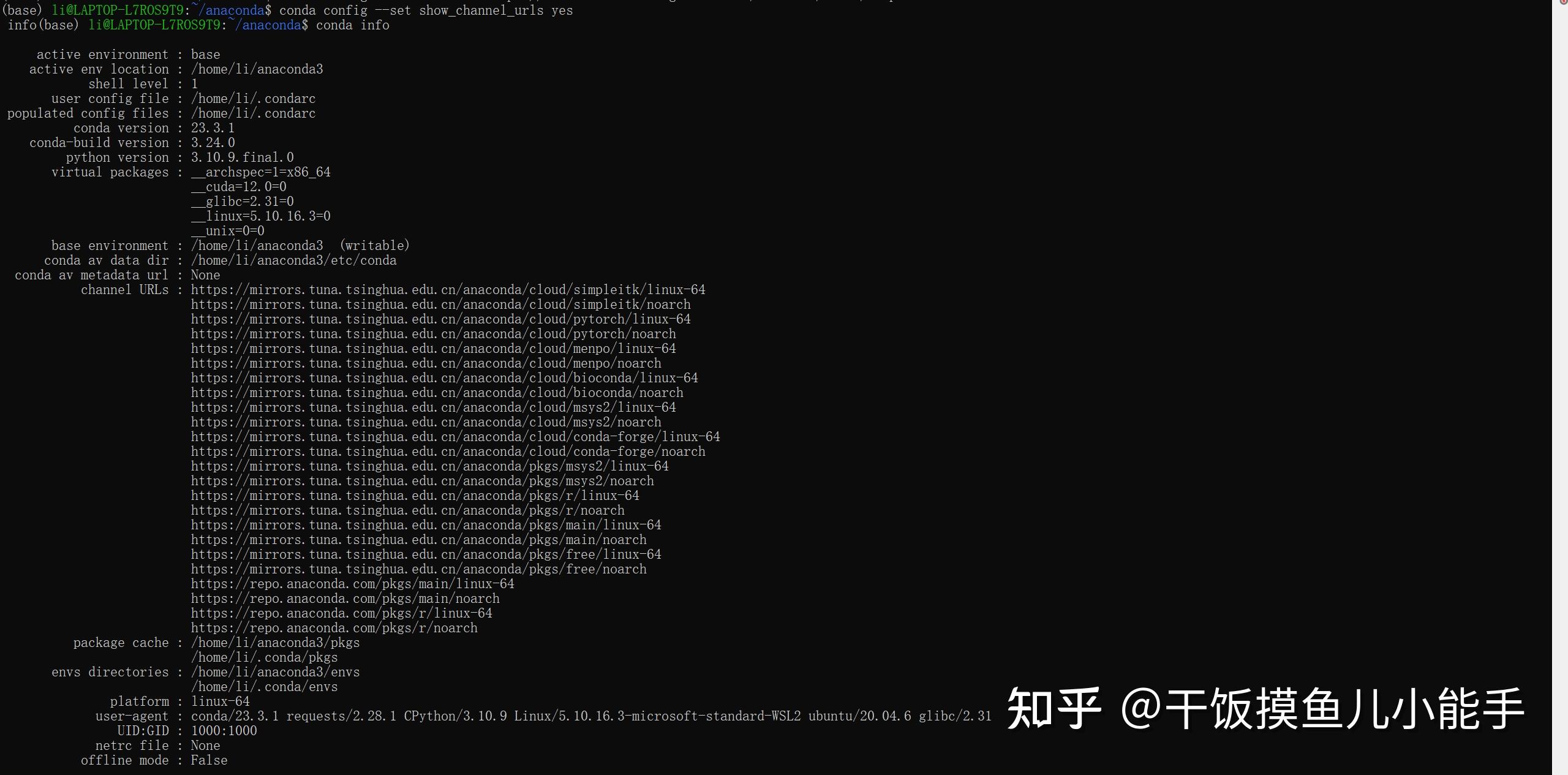 Wsl2 ubuntu conda 