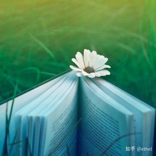 精神内耗的人怎么办? - 知乎