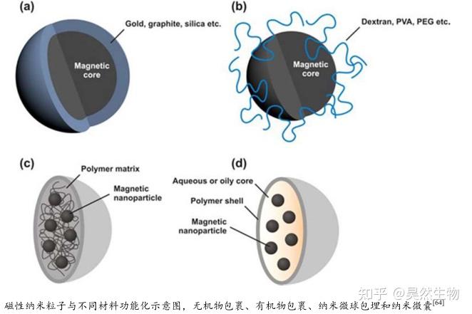 100nm四氧化三铁纳米/Fe3O4磁性材料/磁性纳米四氧化三铁 - 知乎