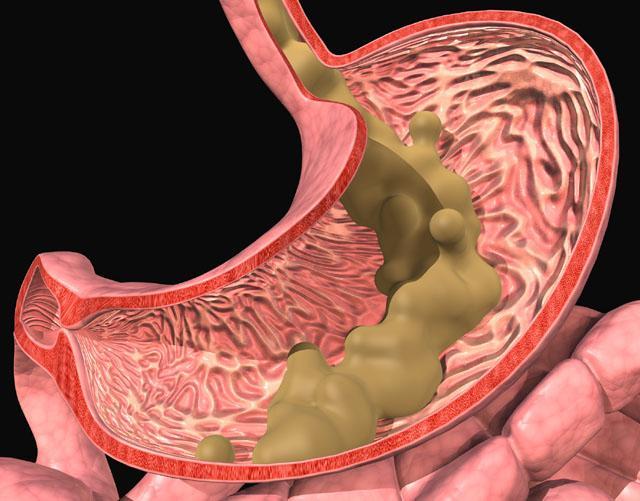 在讨论着话题前,我们先来说说大便是怎么形成的吧!