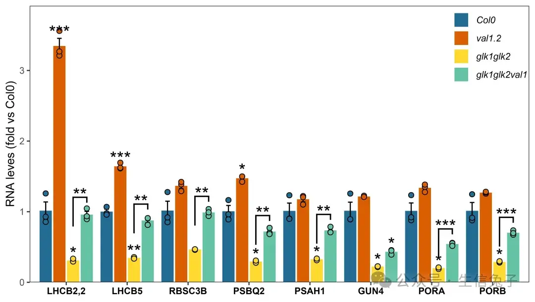跟着Nature学作图 | 多分组基因表达量散点柱状图绘制，附文章数据链接 - 知乎