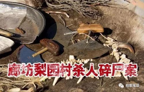 河北廊坊殺人煮屍案殺人碎屍後用電飯鍋煮屍極其恐怖