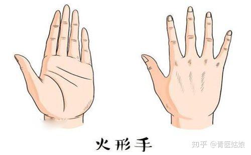 手诊特辑:手形中的五行 - 知乎
