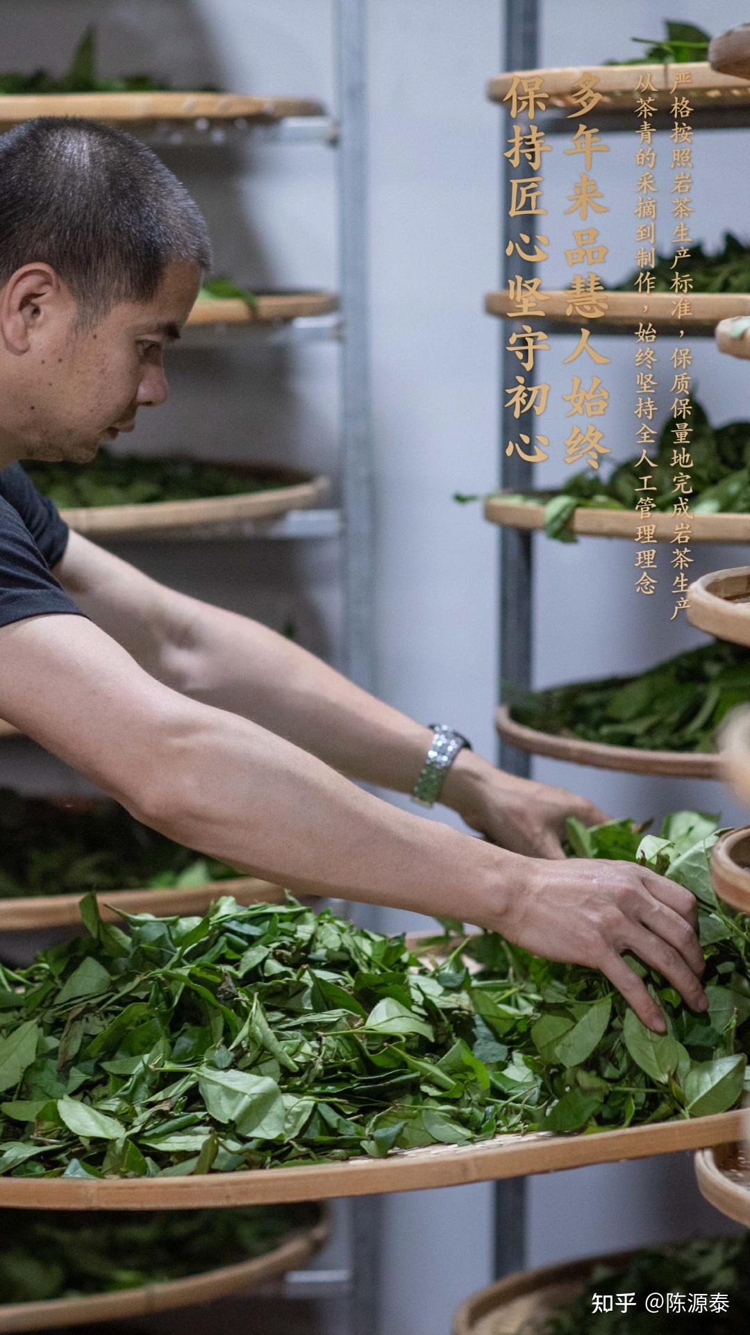 陈源泰品慧北山正式签约