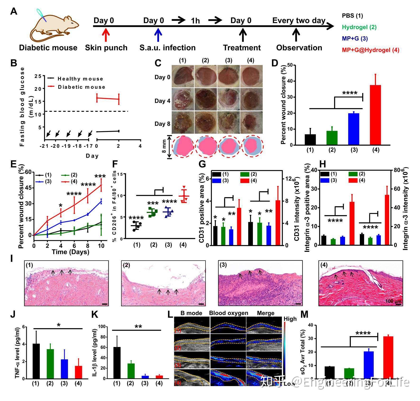 如何消除体内炎症因子 v2-86c2bf078928f366857323affdc0600f_r.jpg