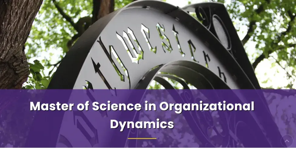 美研申请 美研申请