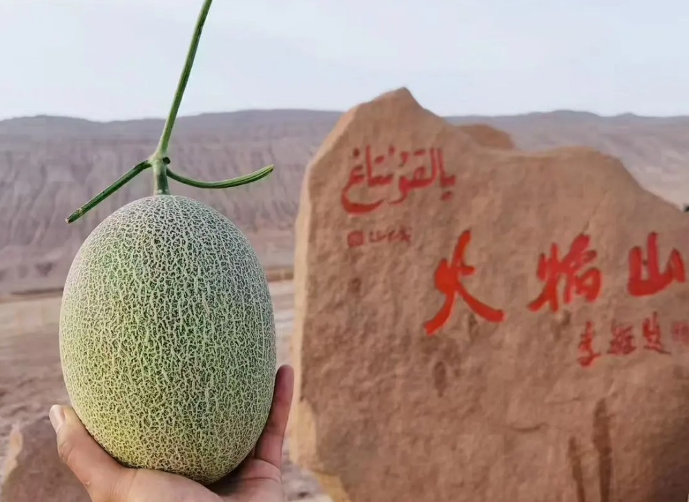 吐鲁番的葡萄哈密的瓜,新疆"瓜果之乡"人人夸 - 知乎